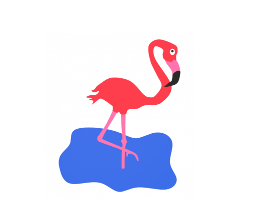 Flamingas Z24